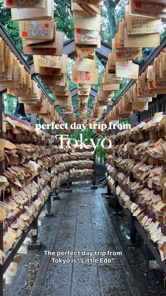 Aimee ✨Bucket List Travel, Kawagoe Hikawa Shrine