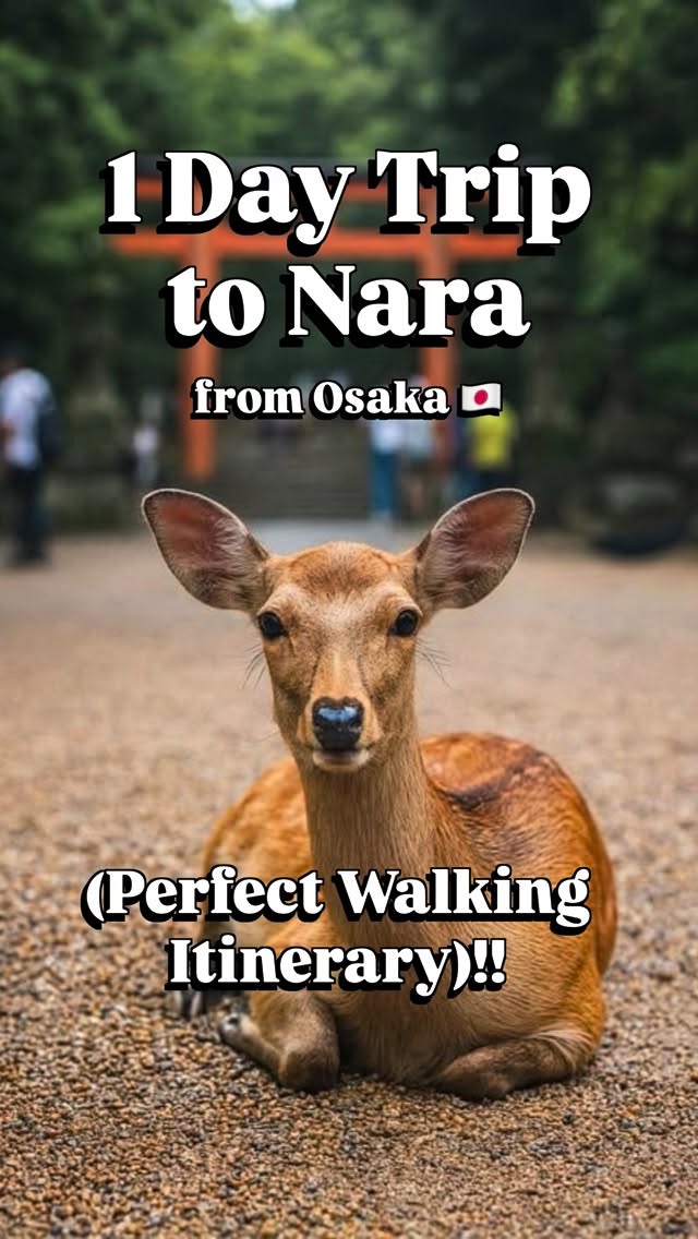 the_indian_travelgram, Nara Park