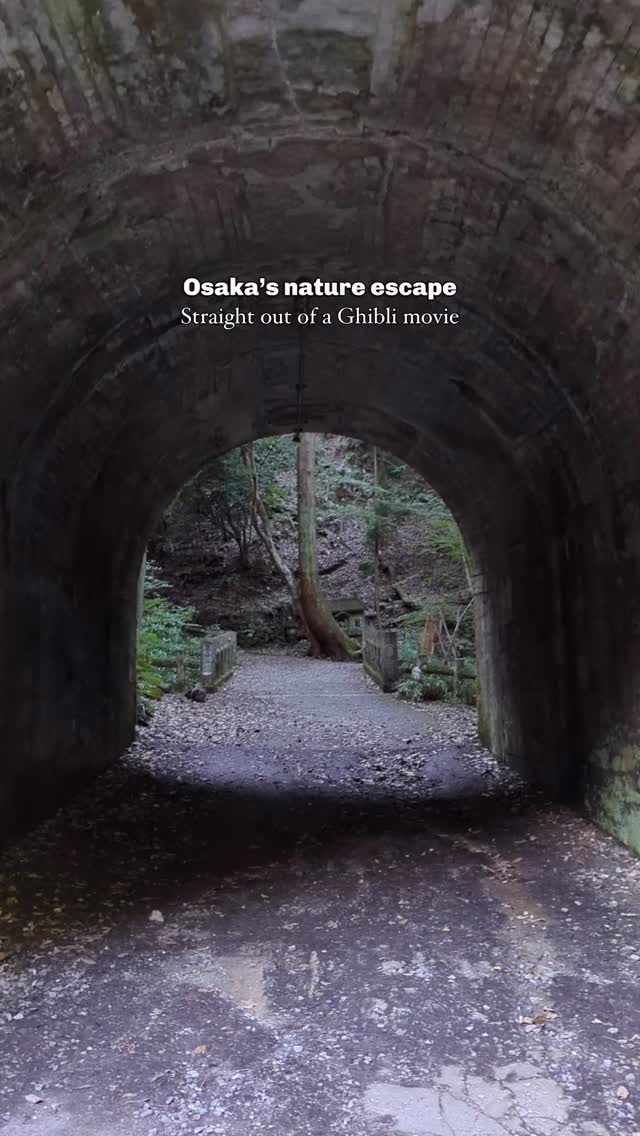 Mari 🇮🇹 • Japan Travel, Minoh National Park