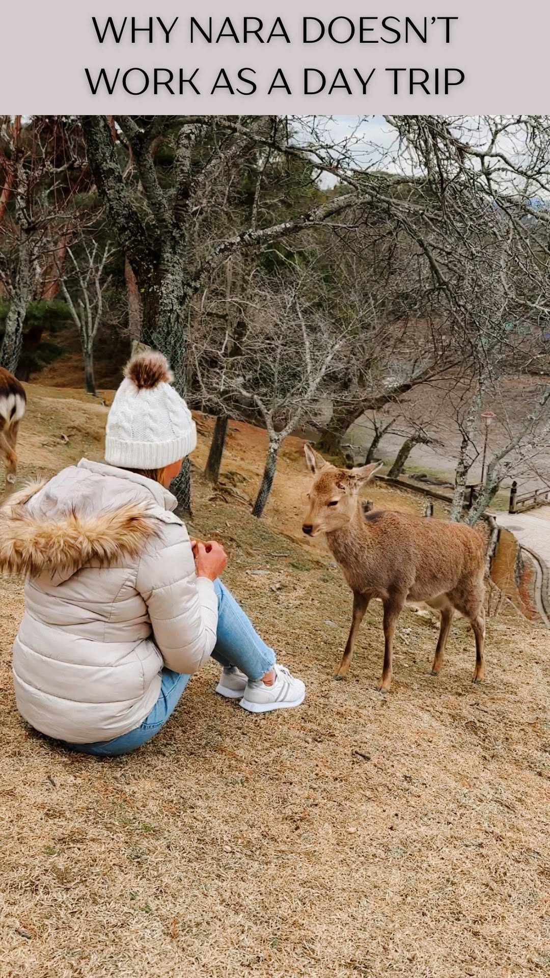 TAMRA BOW | TRAVEL PLANNING CREATOR | AU GOLD COAST, Nara Park