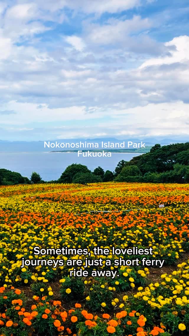 Winkiepinkietraveltheworld, Nokonoshima Island Park