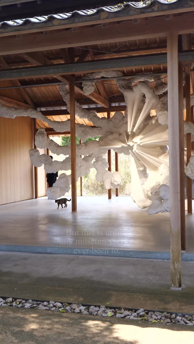 Alisha Ivelich (アリーシャ), Naoshima
