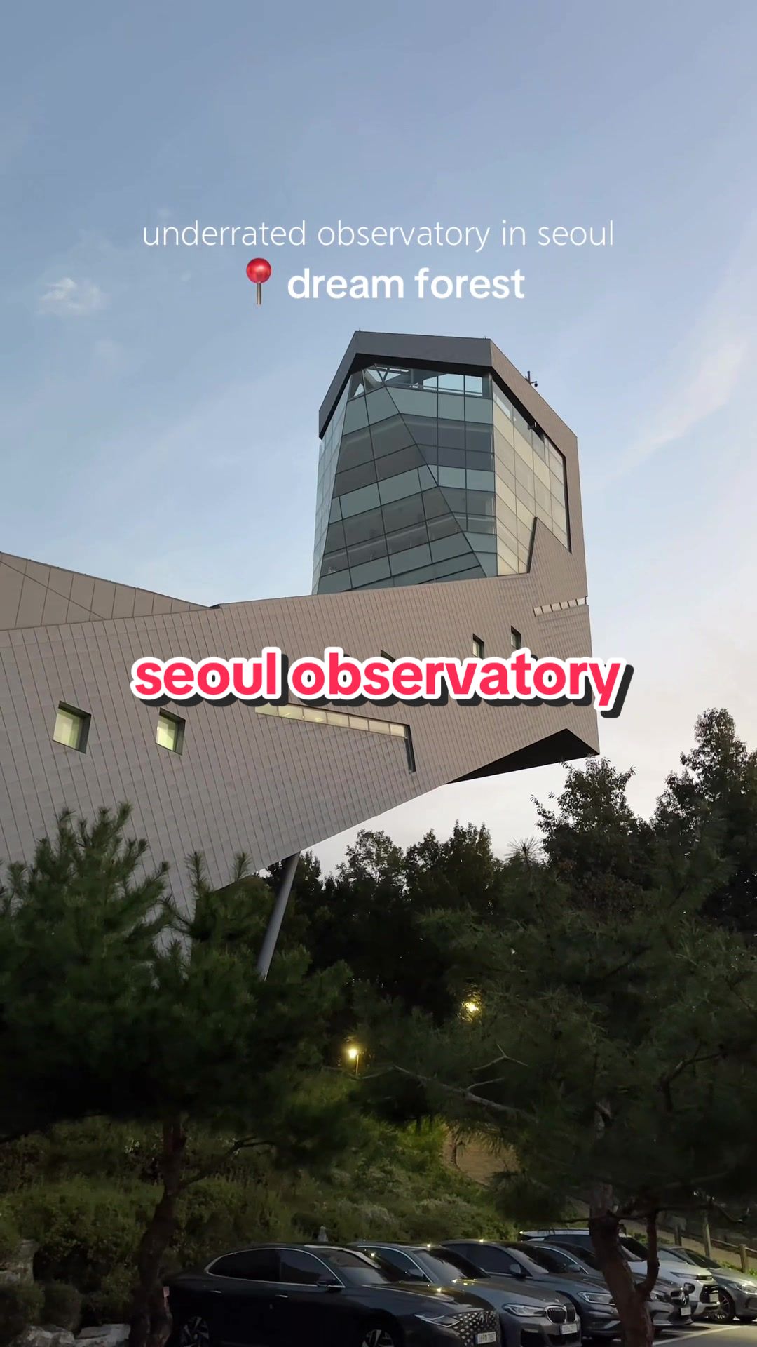 lena is in korea, Dream Forest