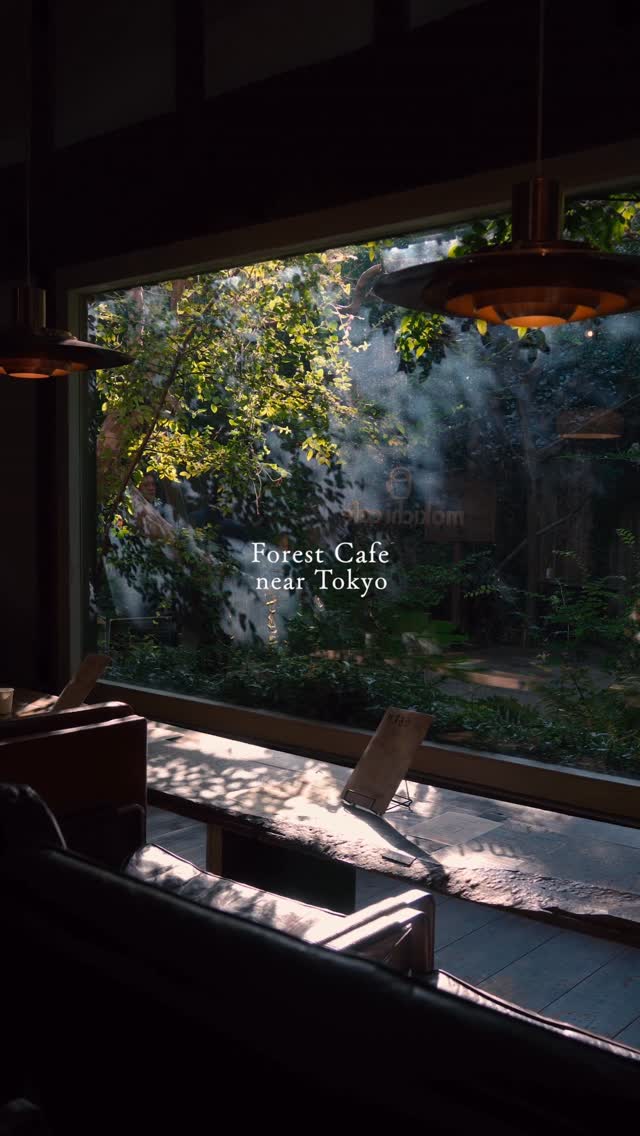Tokyo Retreat™︎  ＊＊＊ Cafe,Bistro,Hotel,Sauna,Gemstm, Rainforest Cafe