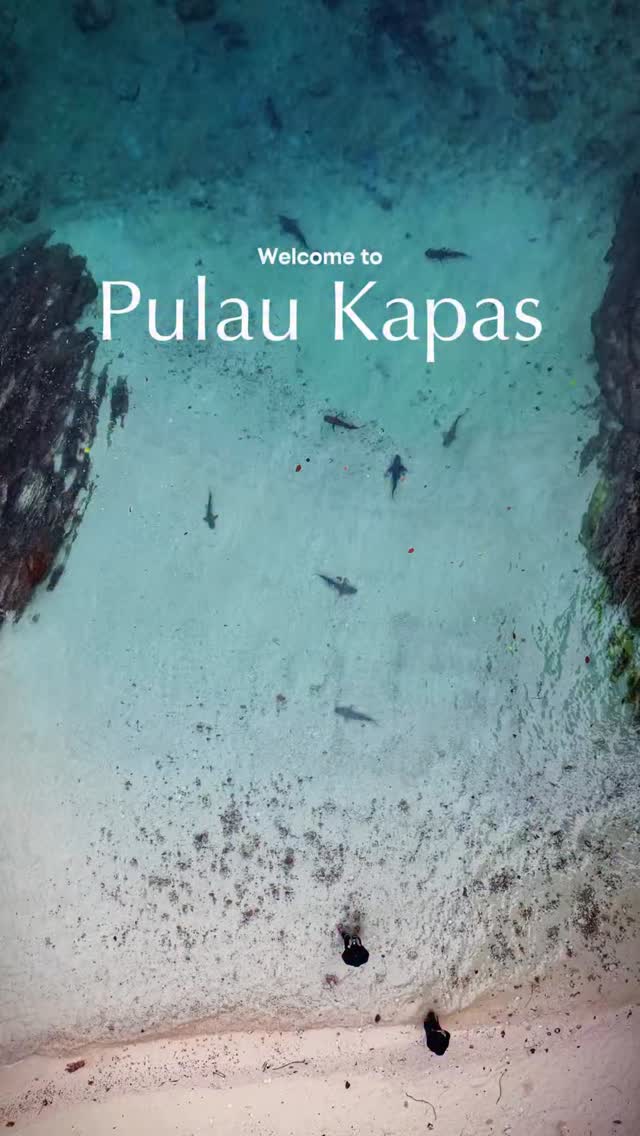iAN ISKANDAR, Kapas Island