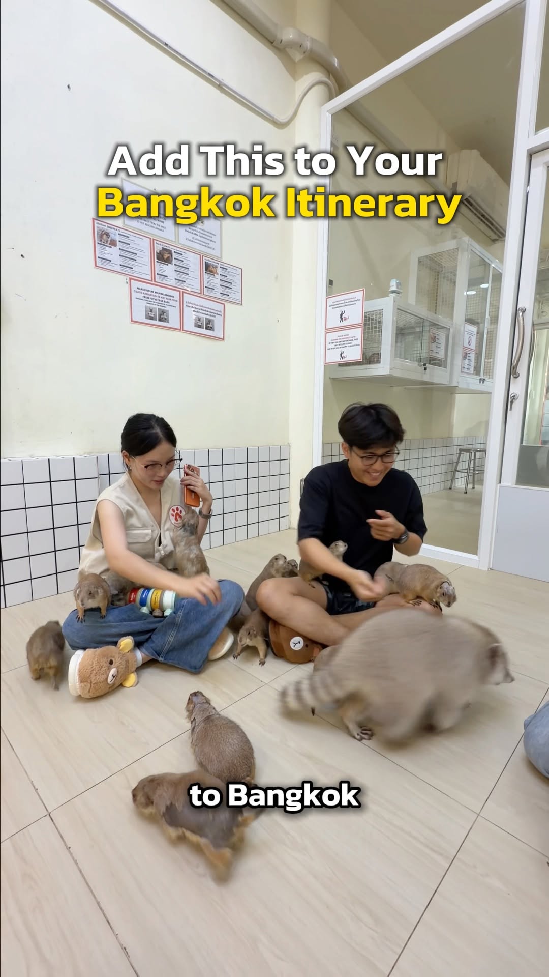 Little Den Cafe 🐾, Chinatown Bangkok