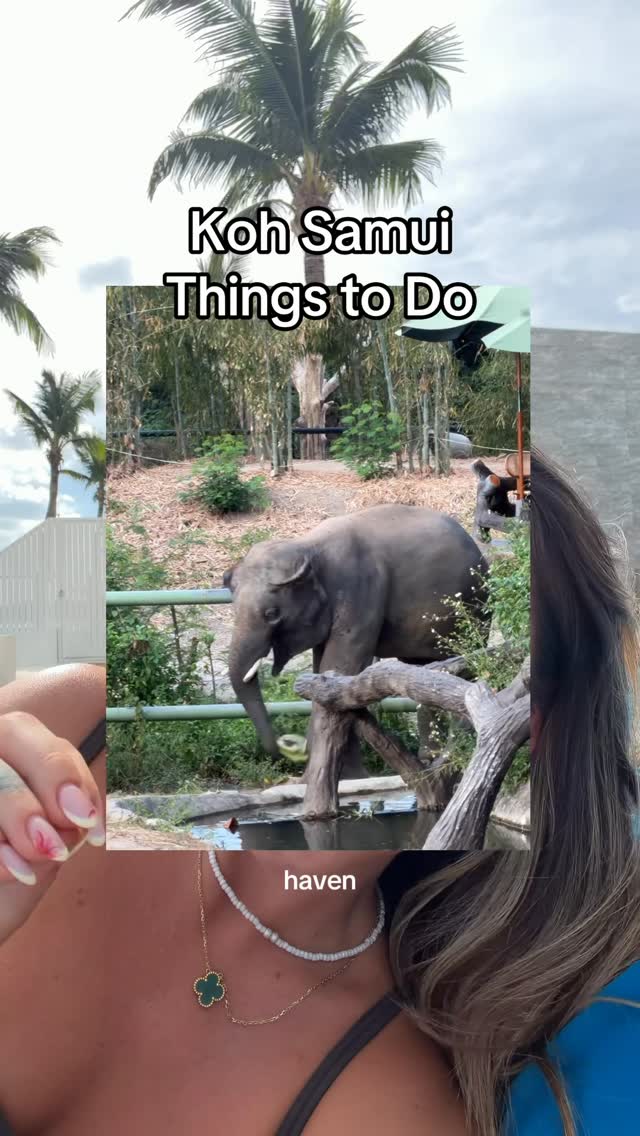 Ela Reeves, Haven Elephant Café & Restaurant