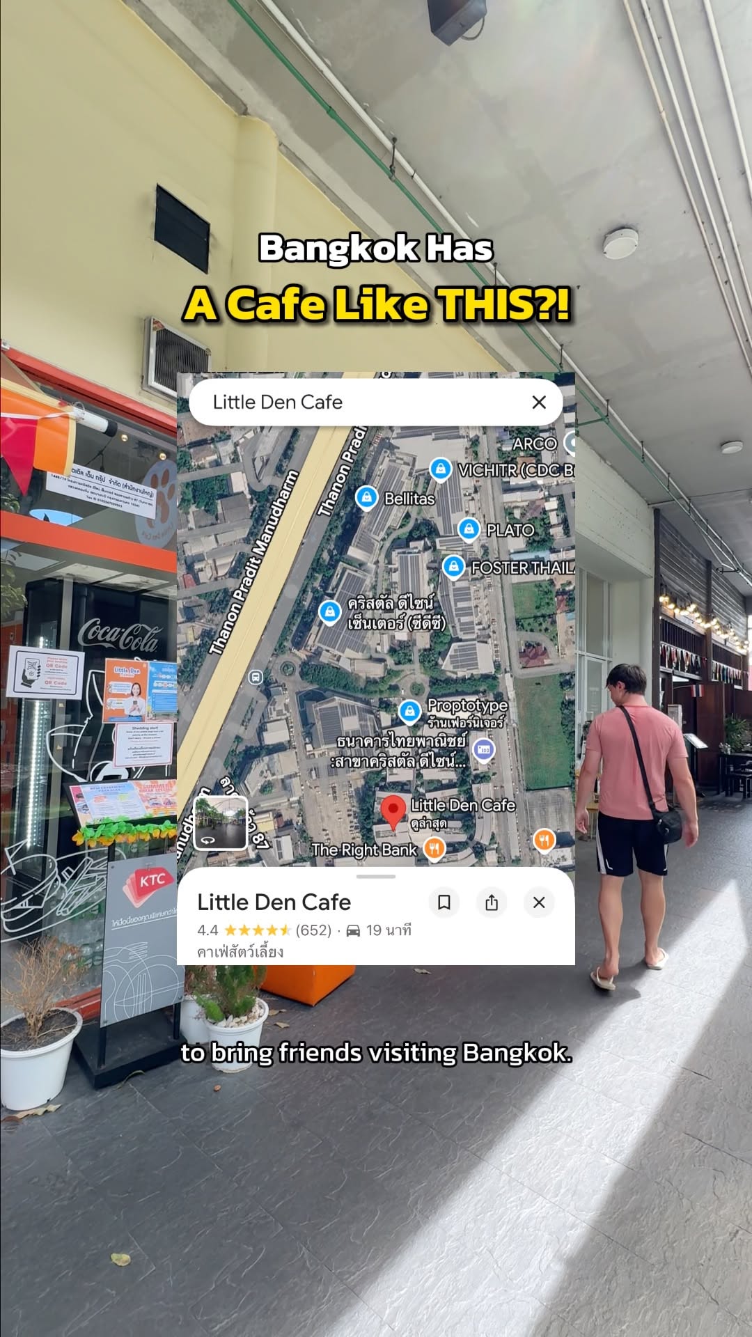 Little Den Cafe 🐾, Little Den Cafe