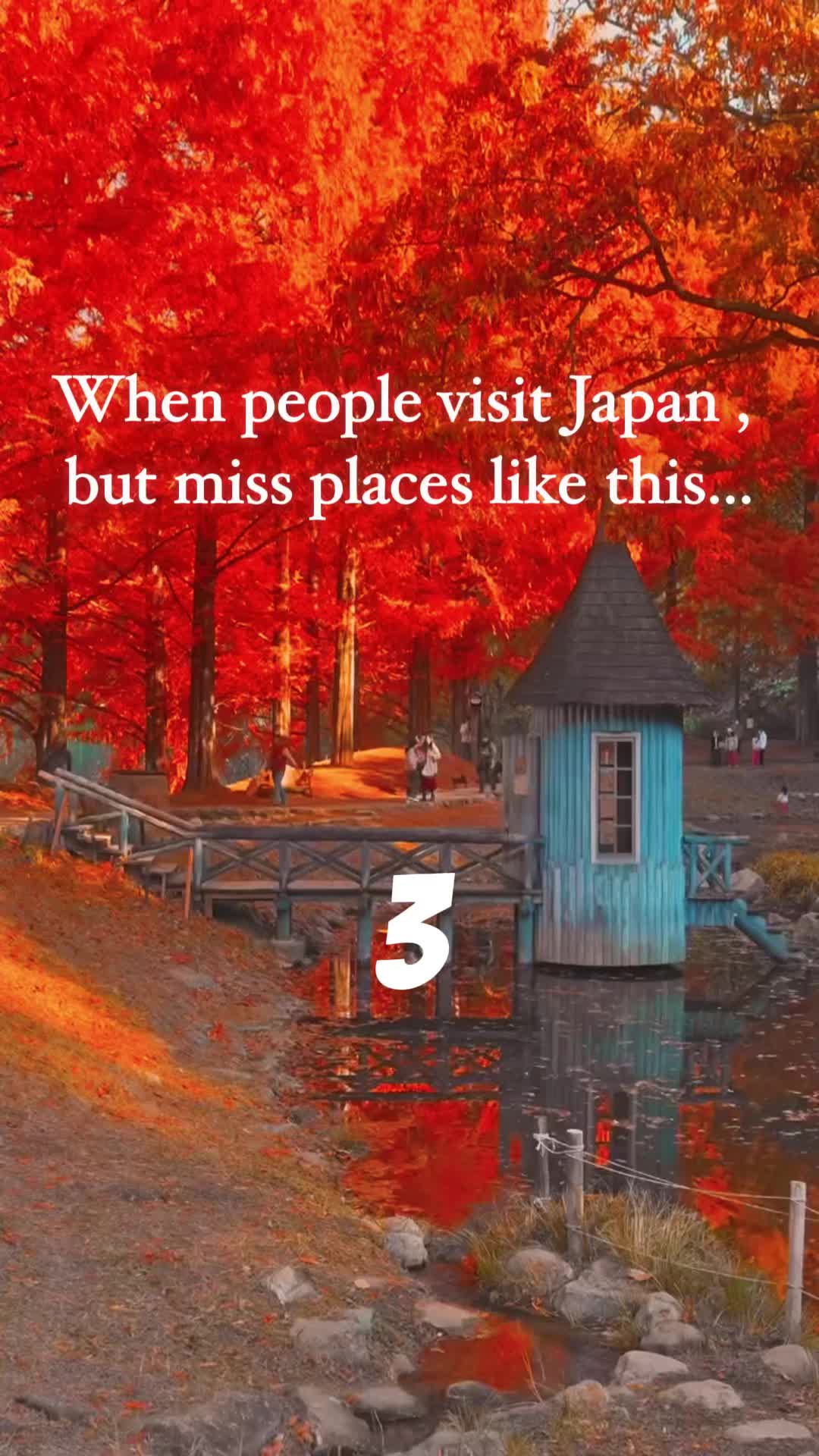 Wabisabi.trips.japan, Oishi Park