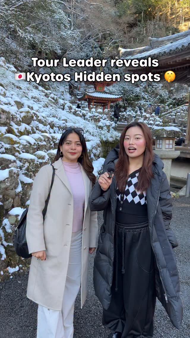 Tours in Japan - TOMOGO!, Adashino Nenbutsu-ji