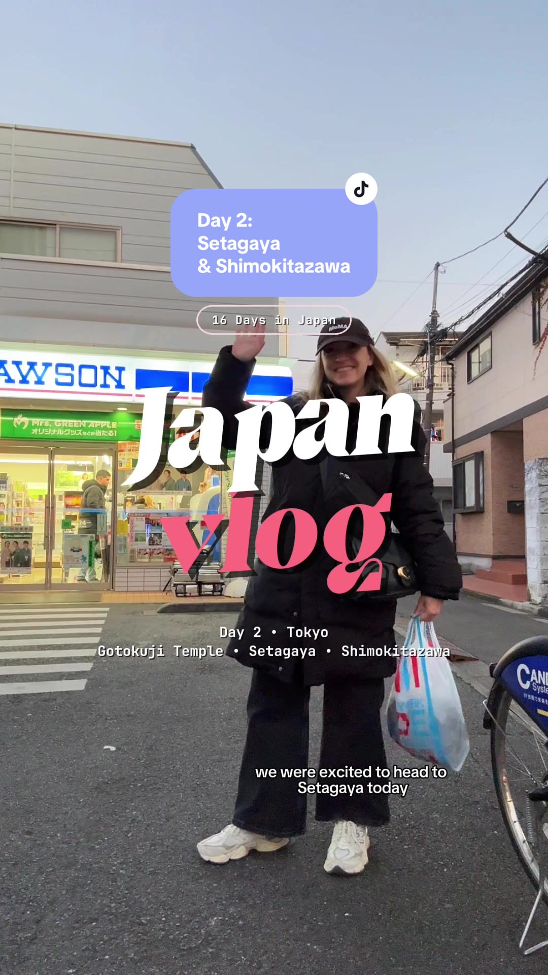 sarah goosie, Shinjuku Station