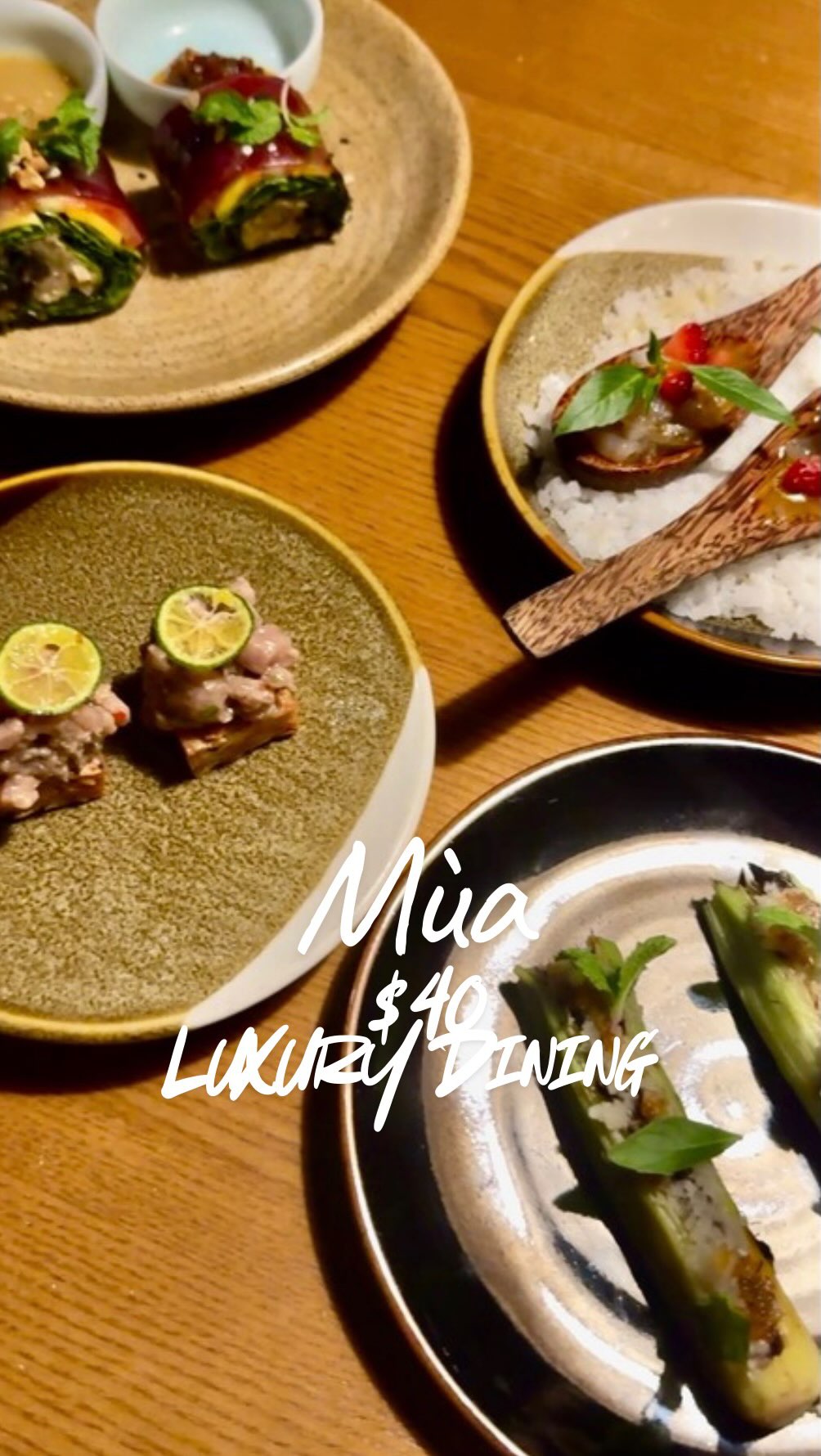 Anna Mala | Vietnam Travel & Food Creator 🇻🇳, Hội An Night Market