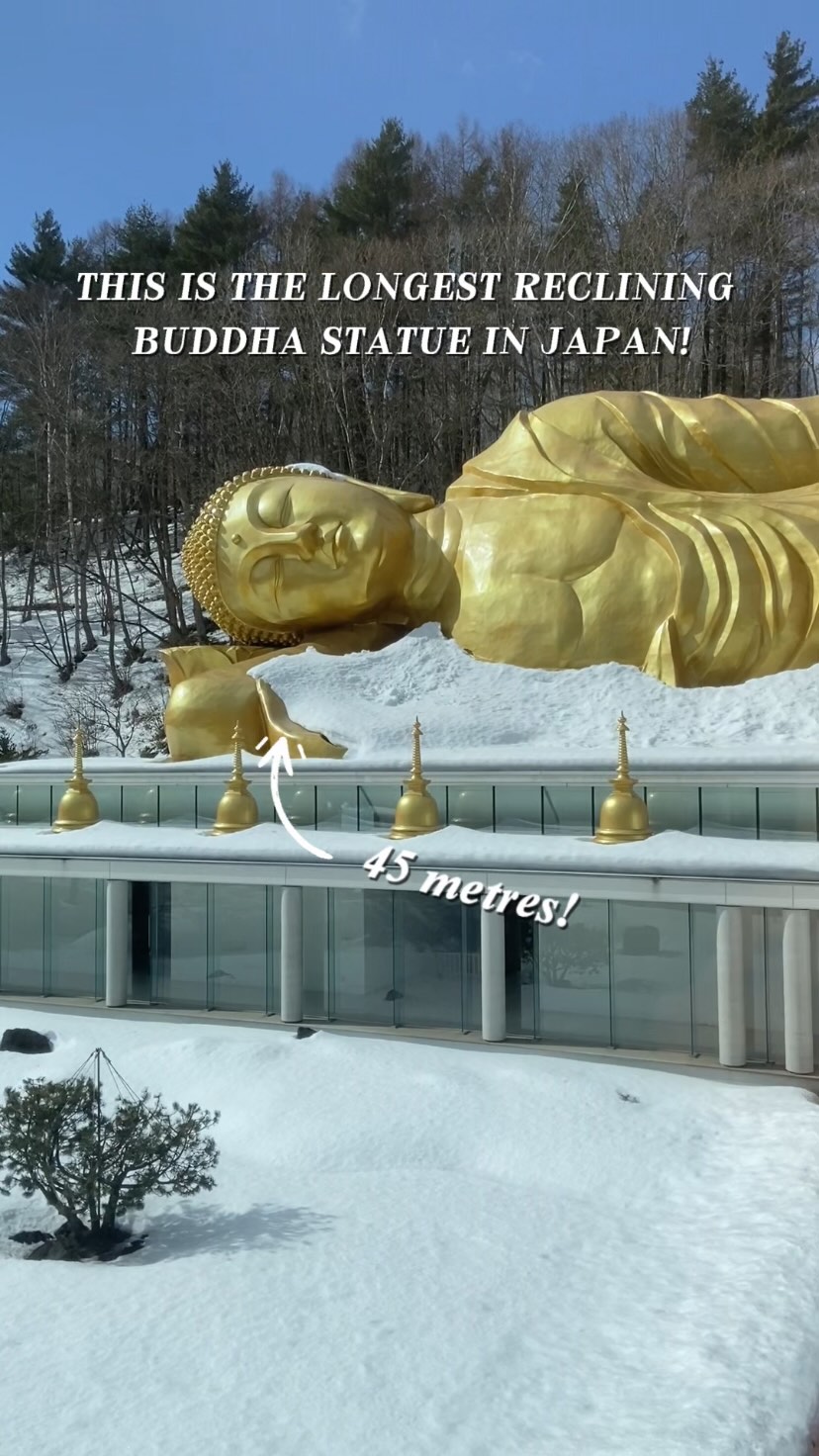 Visit Sapporo, Makomanai Station