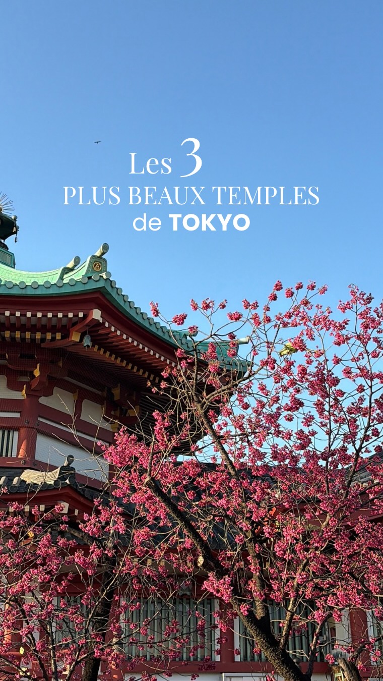 Léanna, Sensō-ji