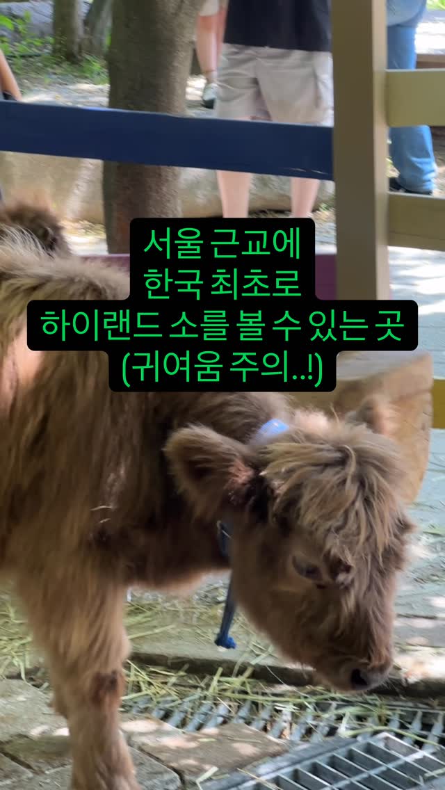 ppamo_jo | 패션•공간•리뷰, Pyunggang Land