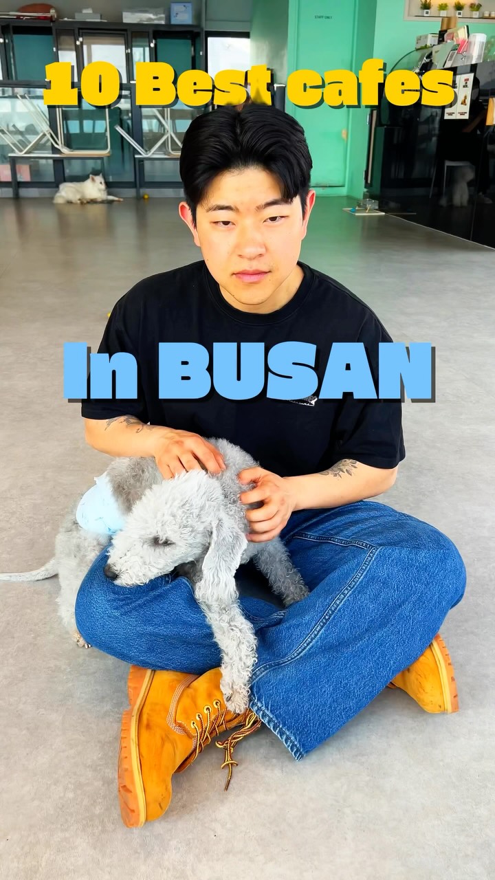 Busan saeki🇰🇷, 워킹홀리데이광안