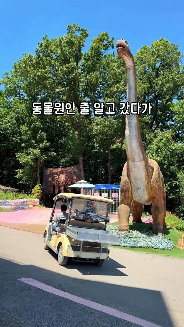 검쥐 | 아이와가볼만한곳 국내여행, CICA미술관