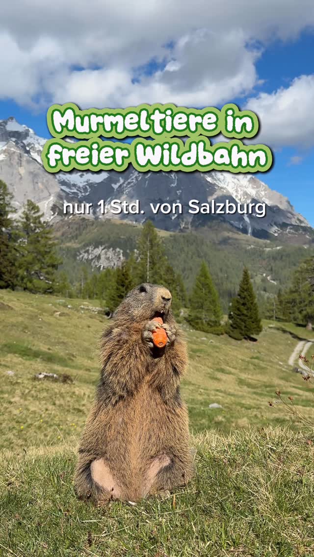 July 🌞, Salzburg