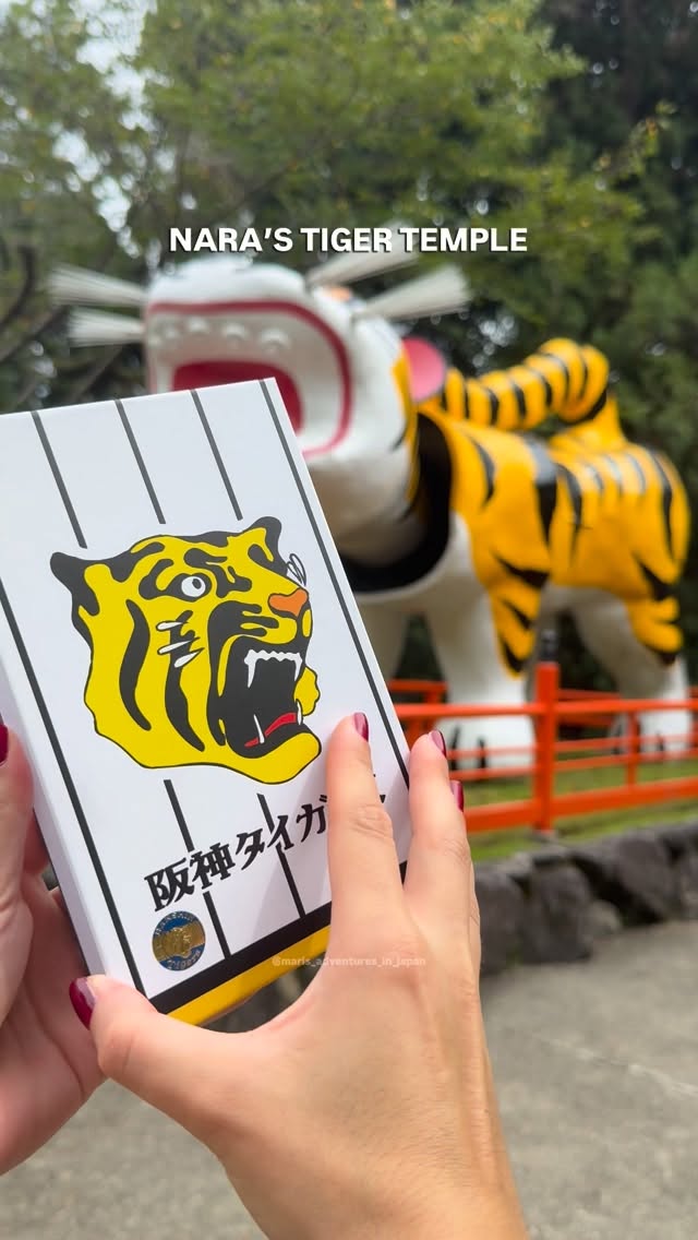 Mari 🇮🇹 • Japan Travel, Chogosonshi-ji