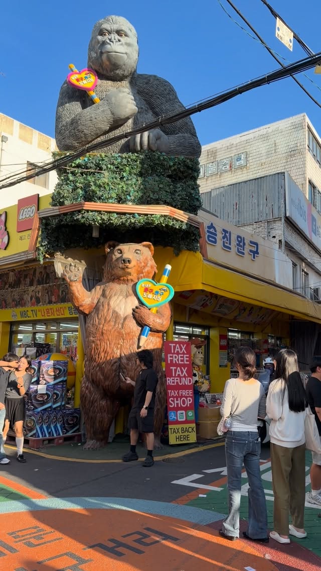 Korea in Motion, 카페 카카리코 (KaKaRiKo Cafe)