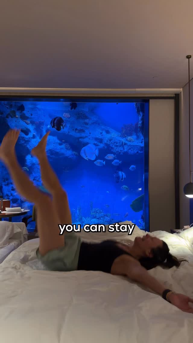 Kara and Nate, Shanghai InterContinental Wonderland