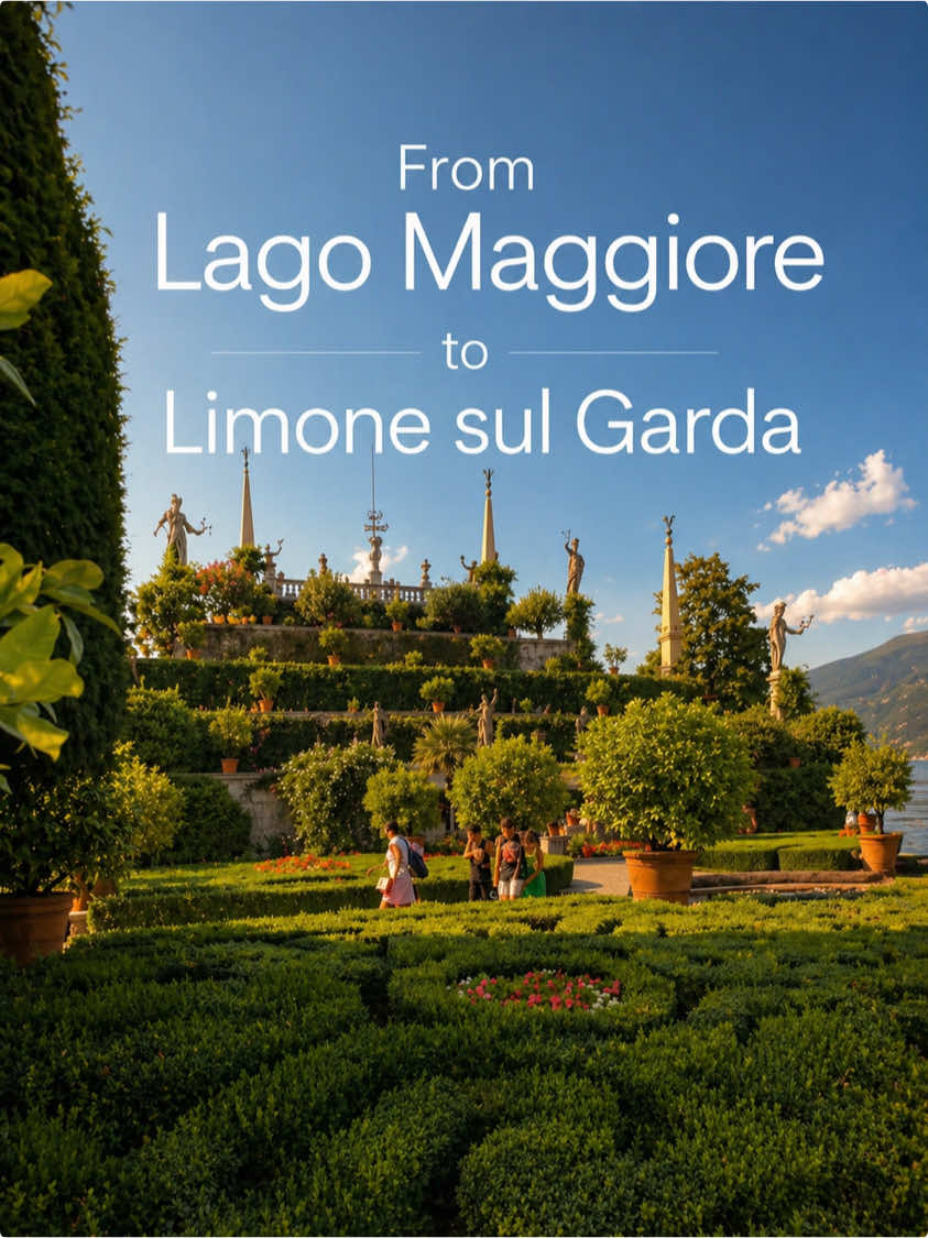 Lilian Țaga, Isola Bella