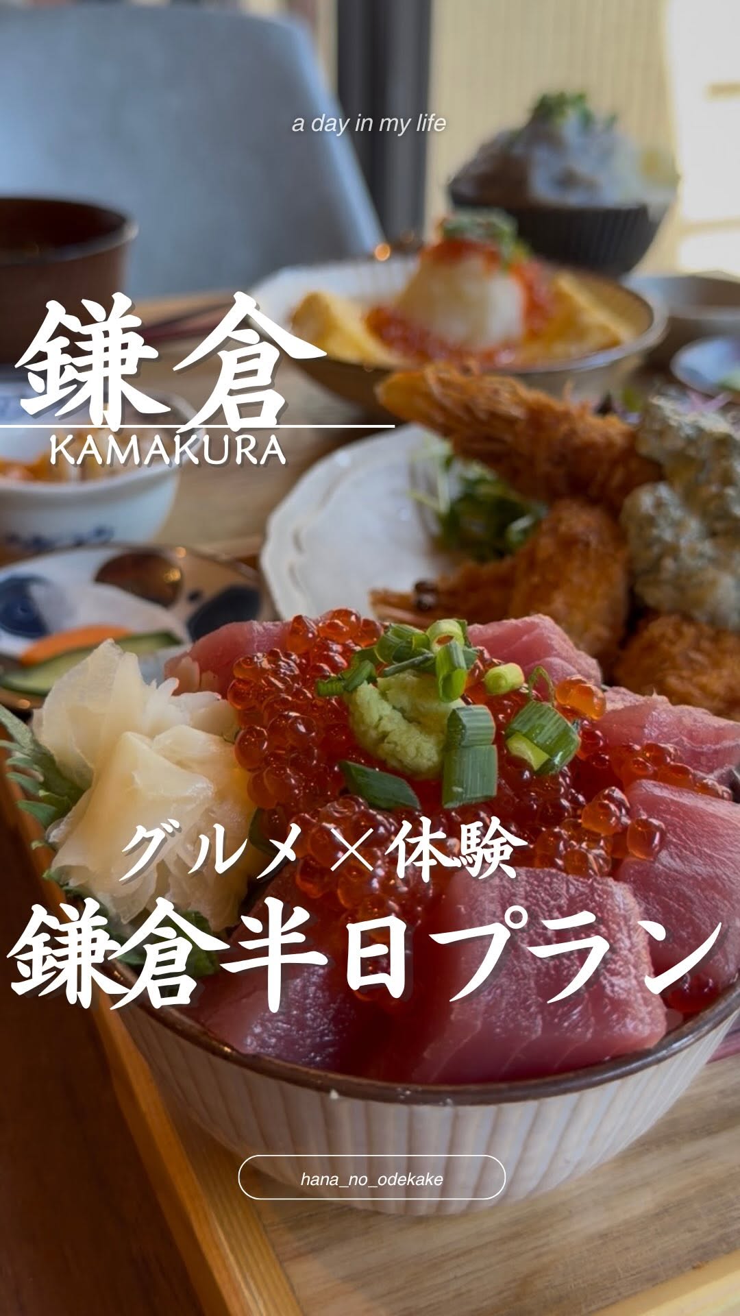 hana ⌇首都圏発お出かけ日記, Komachi Street