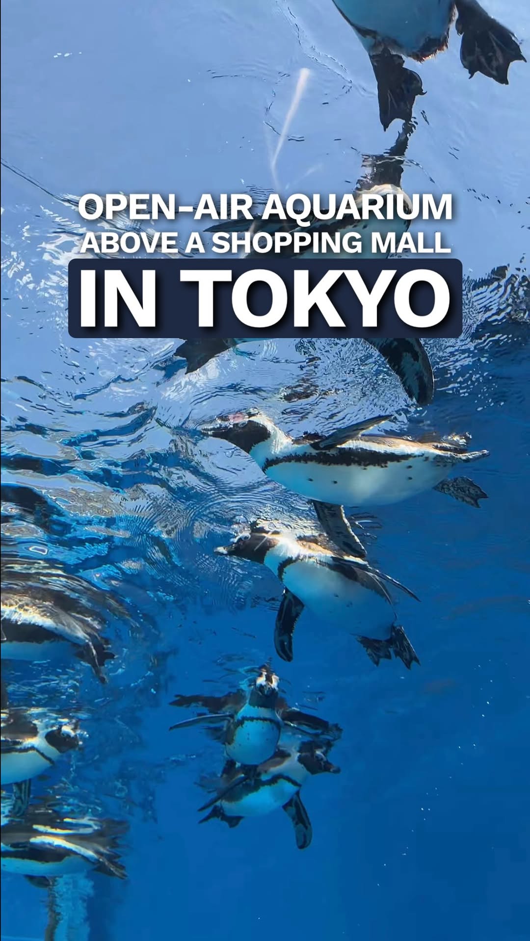 Leslie Koh | Food & Japan Travel, Sunshine City