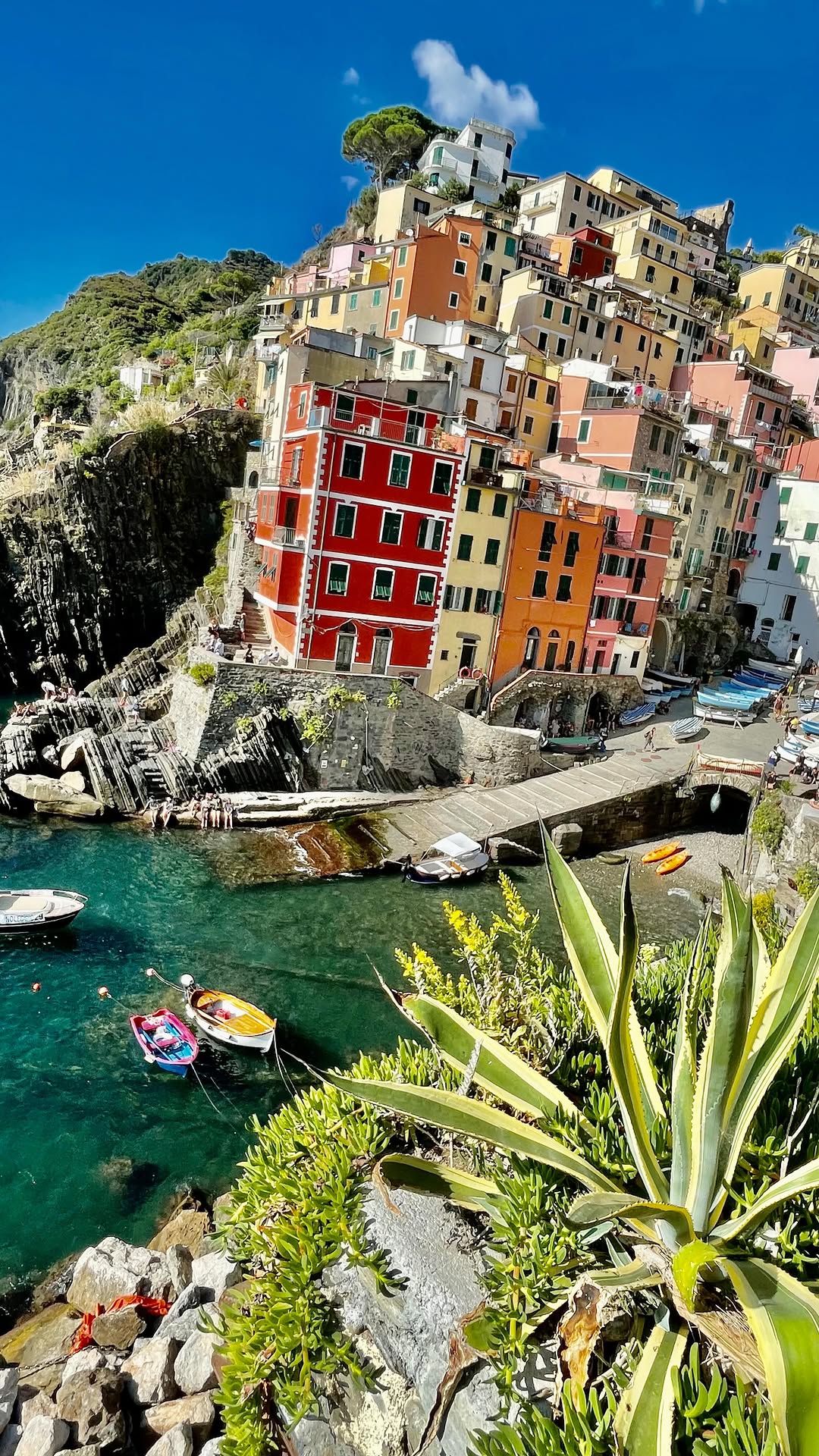 Roza | voyages & aventures, Manarola