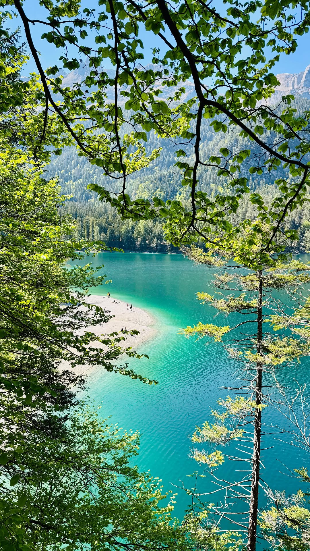 Jennifer Bettini| hiking, activity, hotels 🏔️, Parco Naturale Adamello Brenta