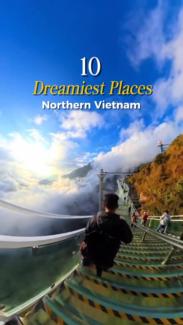 Travelus Vietnam, Tam Cốc-Bích Động