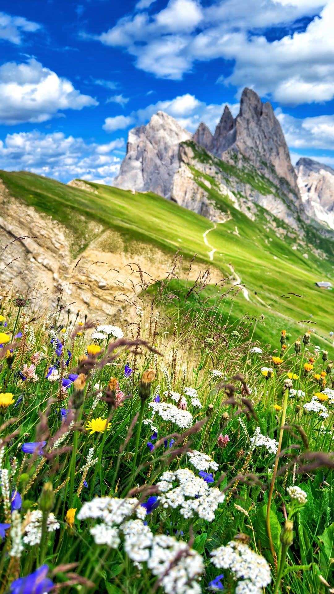 ZENWANDER • Travel Tips & Guides • Switzerland & beyond, Dolomites