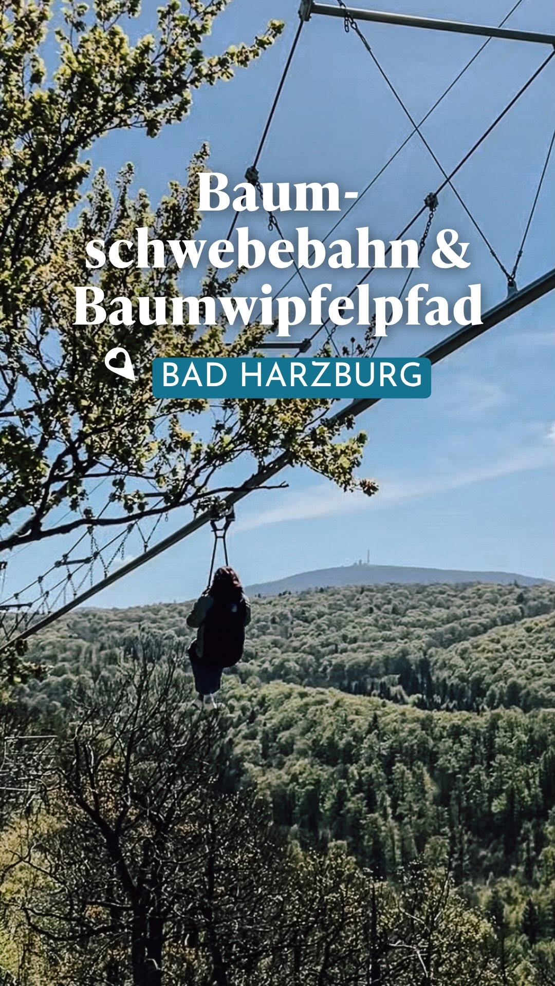 ROSA KROKODIL | Der Freizeitplaner für Familien-Abenteuer., Baumwipfelpfad Harz