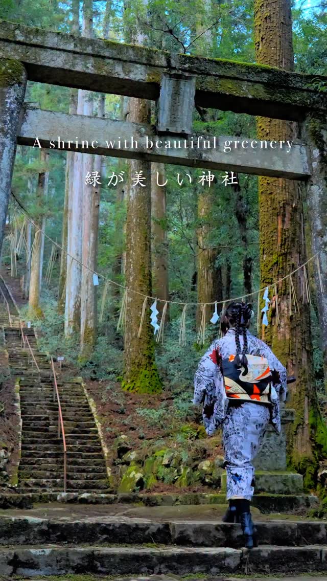 Hiro｜Japan Scenic Film, Kamigamo Shrine