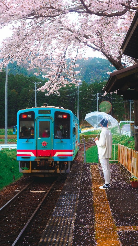 кᴇᴏ📷, Hakone Shrine