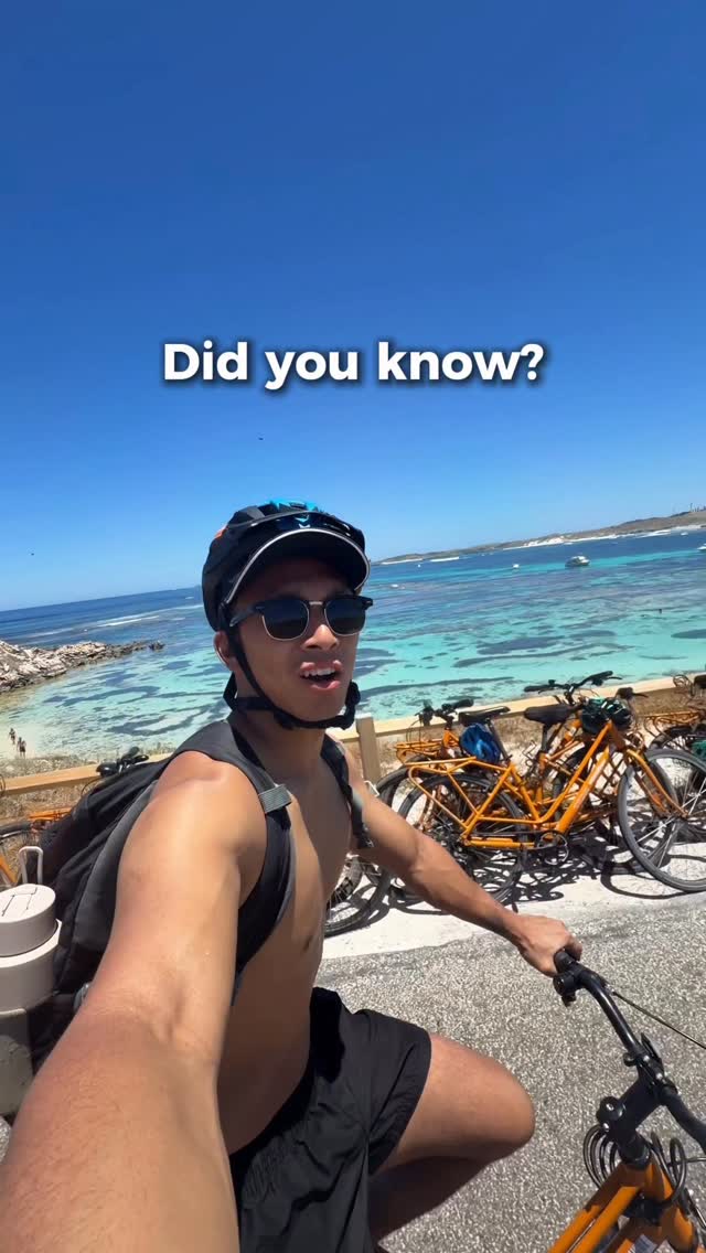 Josiah Laloh, Rottnest Island - Perth
