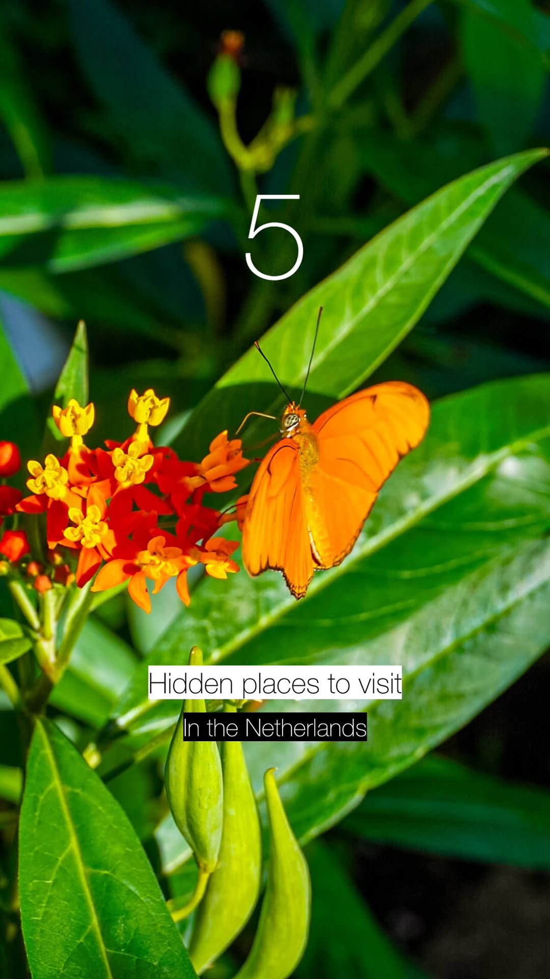 James Haskins | European travel tips & inspiration, Hortus Botanicus