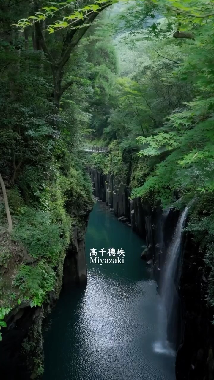 くじら/Video Creator | Japan, Togakushi-Jinja