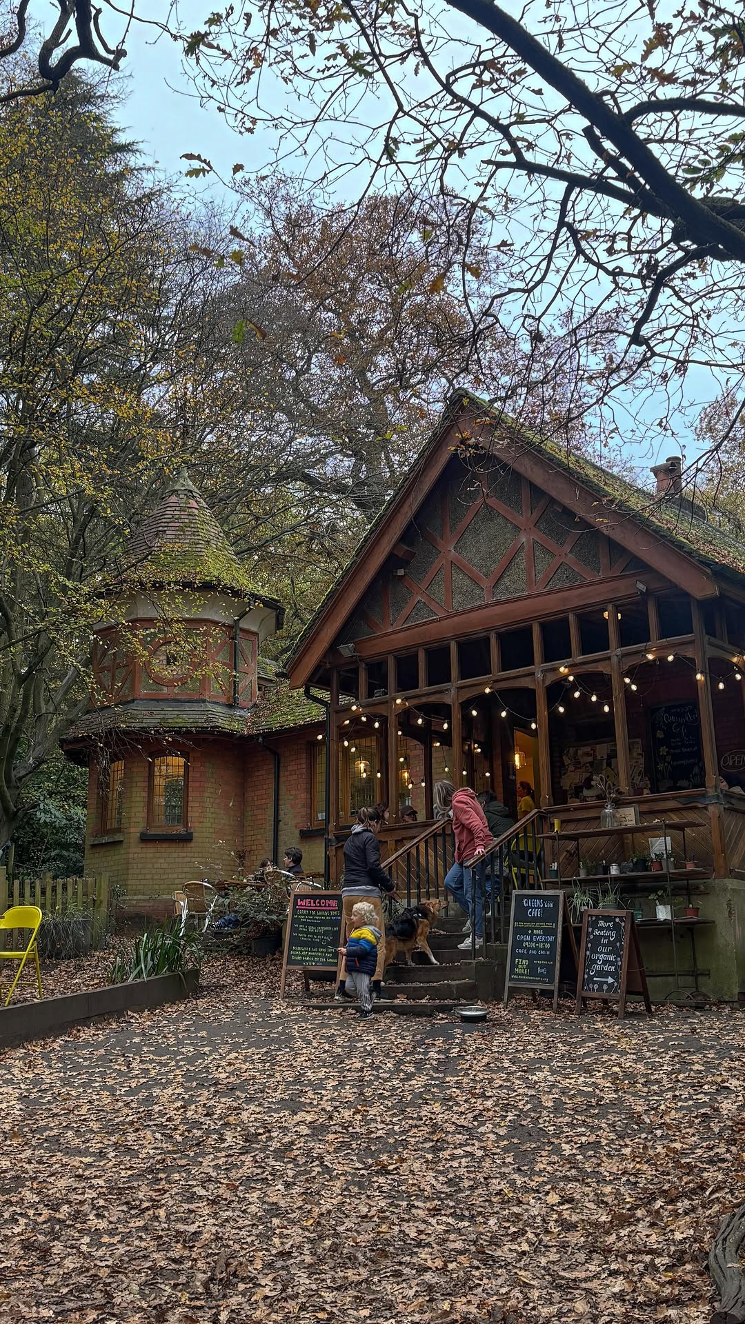 Ariadna Morell, Queen's Wood Cafe