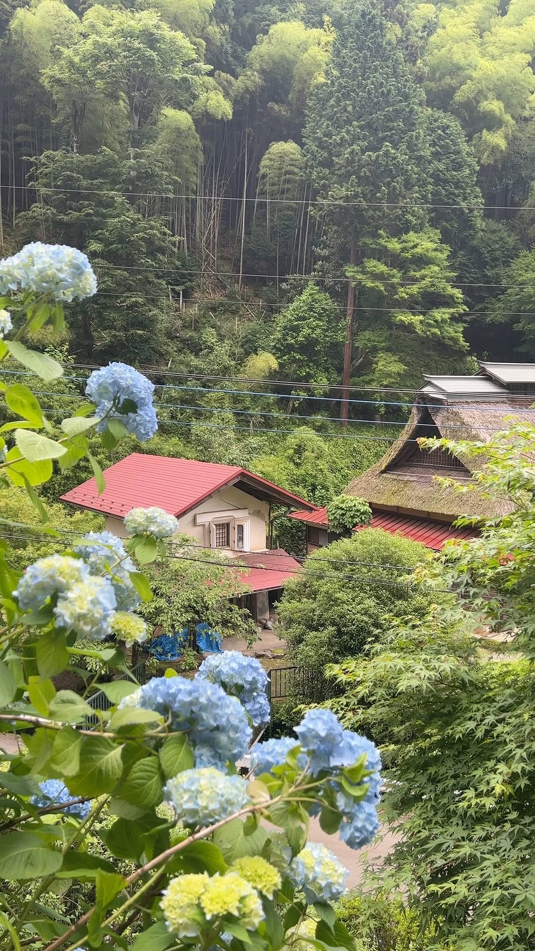 Minami Kristina | Japan Slow Travel, Minamisawa Ajisai Mountain