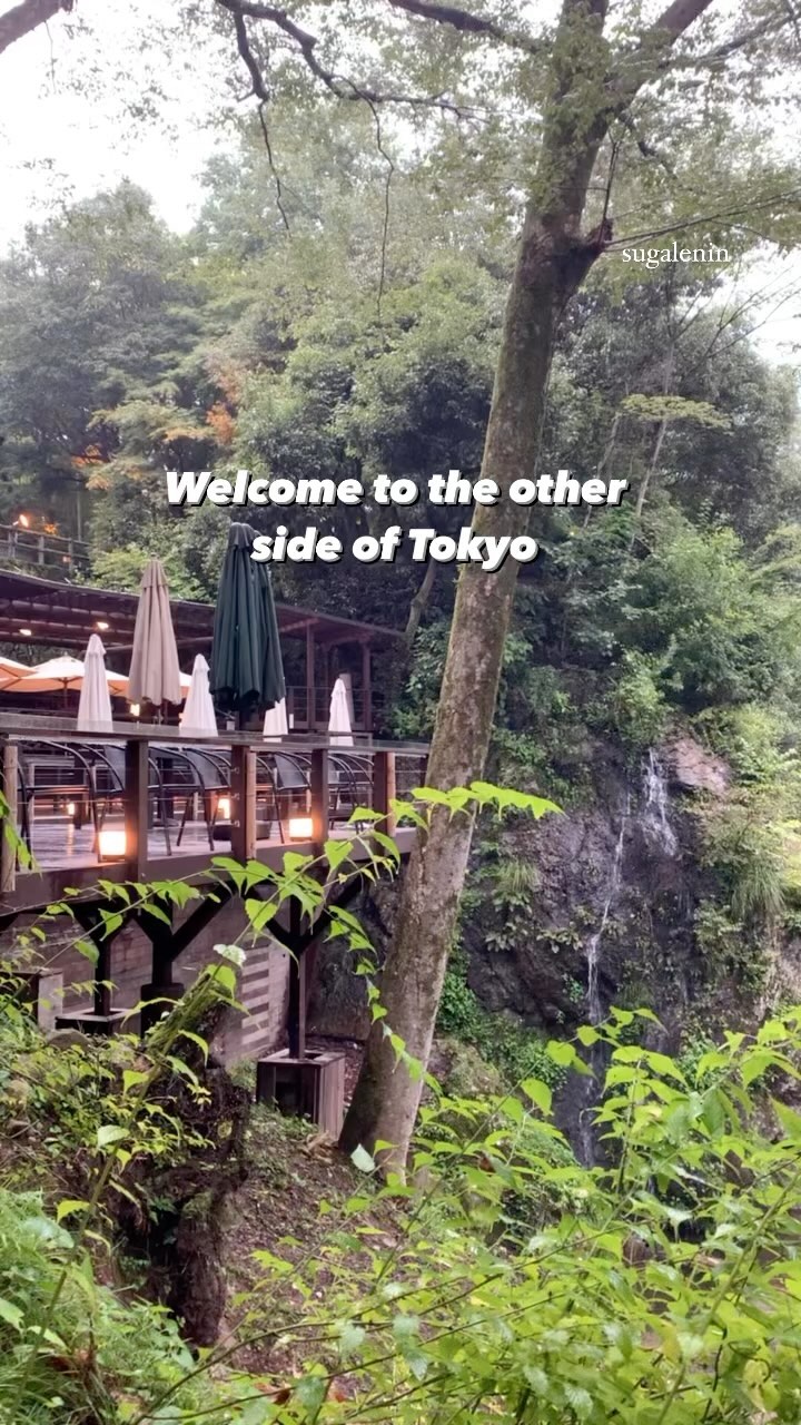 Minami Kristina | Japan Slow Travel, Shinjuku City