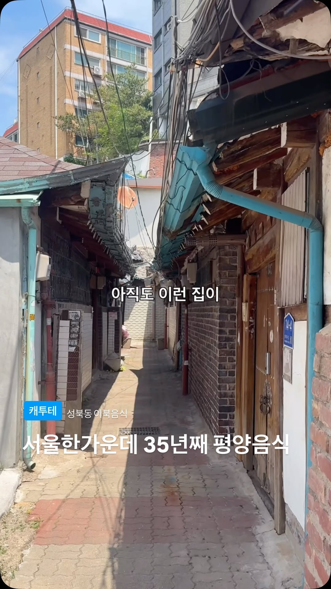 캐빈투테이블, 진청유점 | Jincheongyujeom