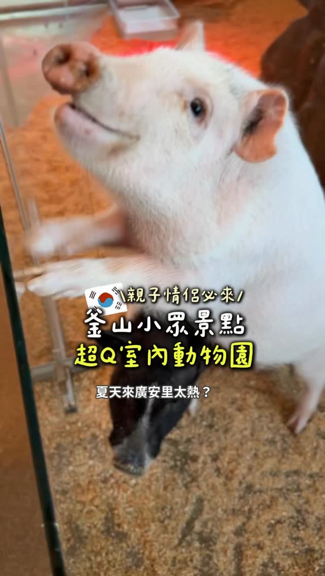 斑斑🧑🏻‍🔬藥妝店好物測評, Gwangan Bridge