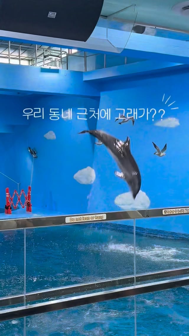 💌 🏊🏻‍♀️ 📚✈️ | 서호정, Whale Cultural Village