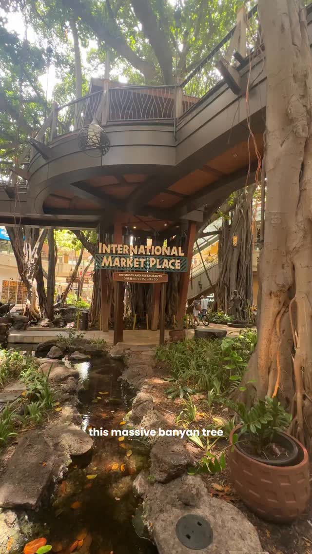MyHawaii Travel Guide, International Market Place