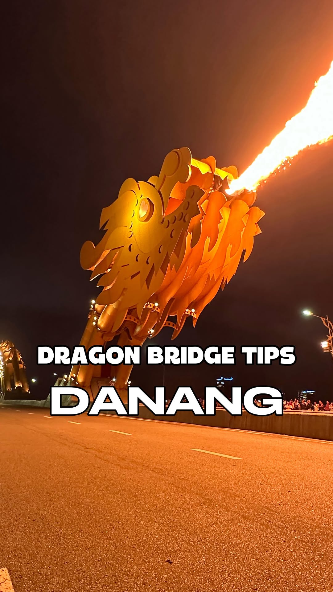 Sophie |  🇻🇳 Vietnam Travel & Life, Dragon Bridge