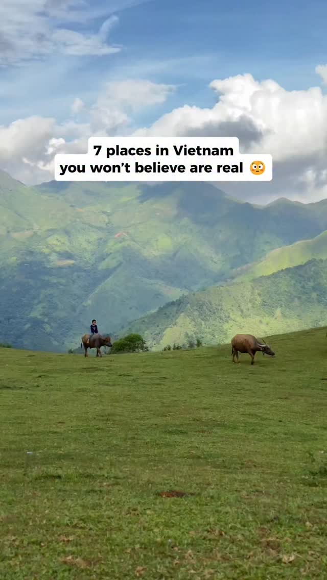 Vietnam Express Moments, Hội An Night Market