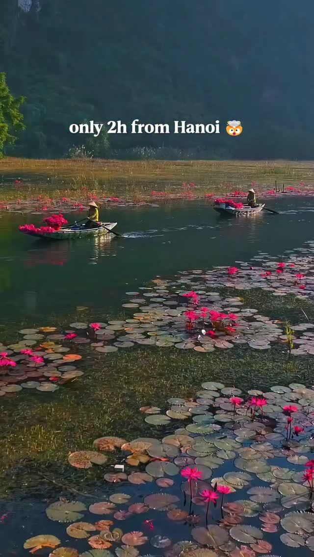 Vietnam Express Diary, Bai Dinh Pagoda