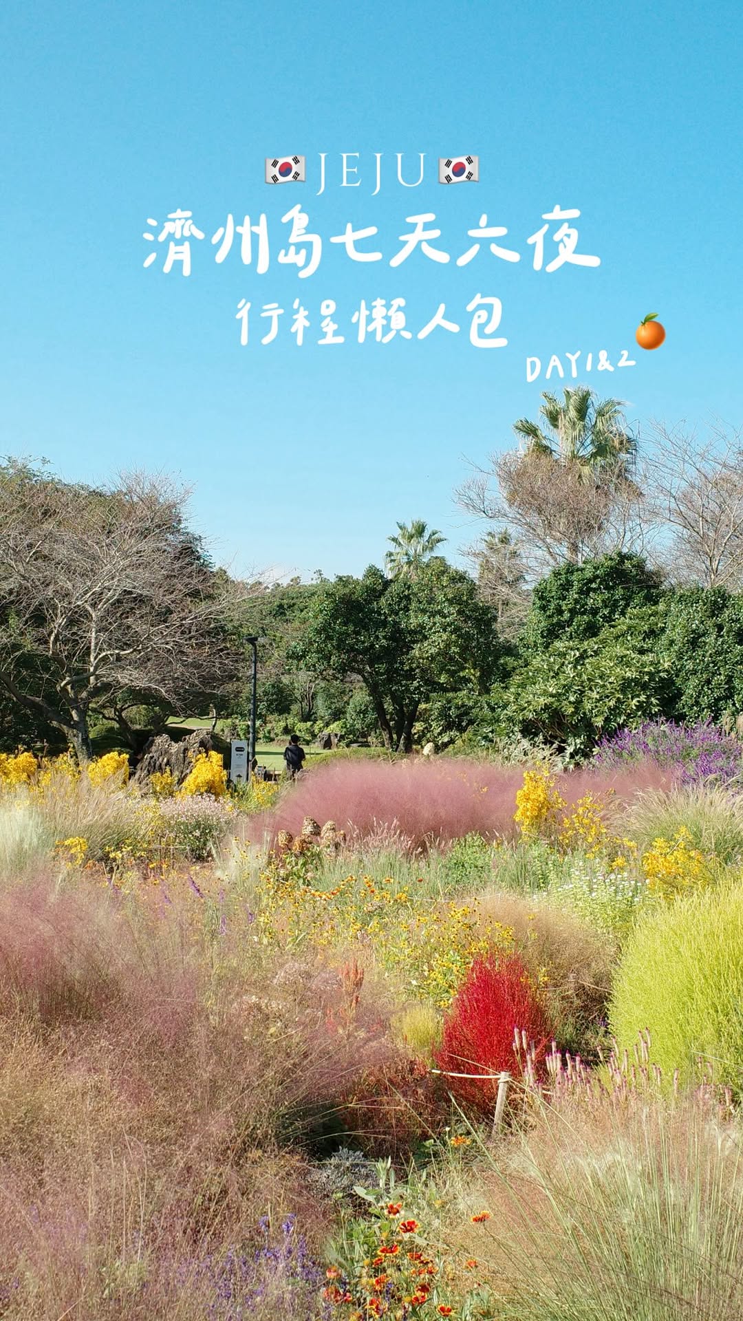 咕嚕𝗚𝗼𝗼𝗿𝘂 ♡︎ 美食 ♡︎ 景點 ♡︎ 住宿 ♡, Jusangjeollidae