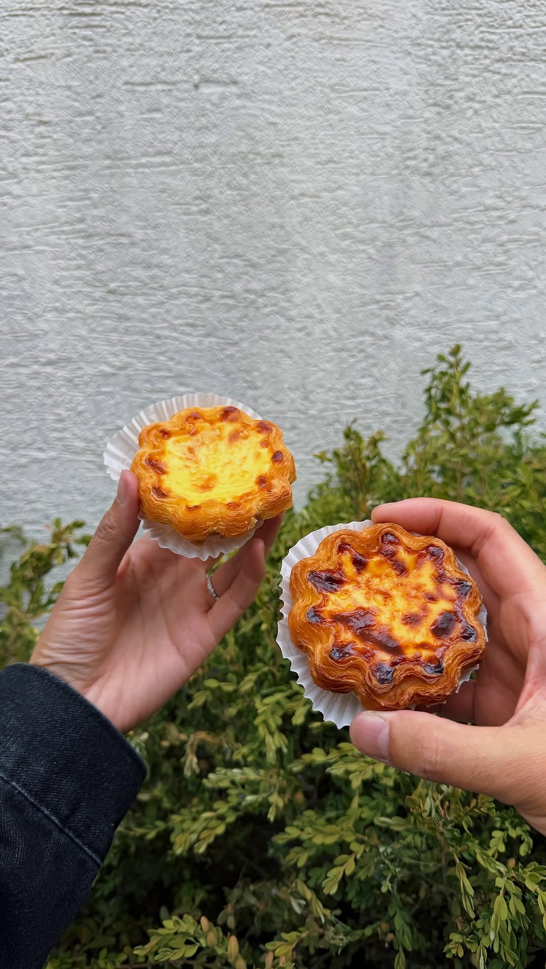 Celine Linarte, 메이타왕 에그타르트 성수 | MEITAWANG® Egg Tart Seongsu